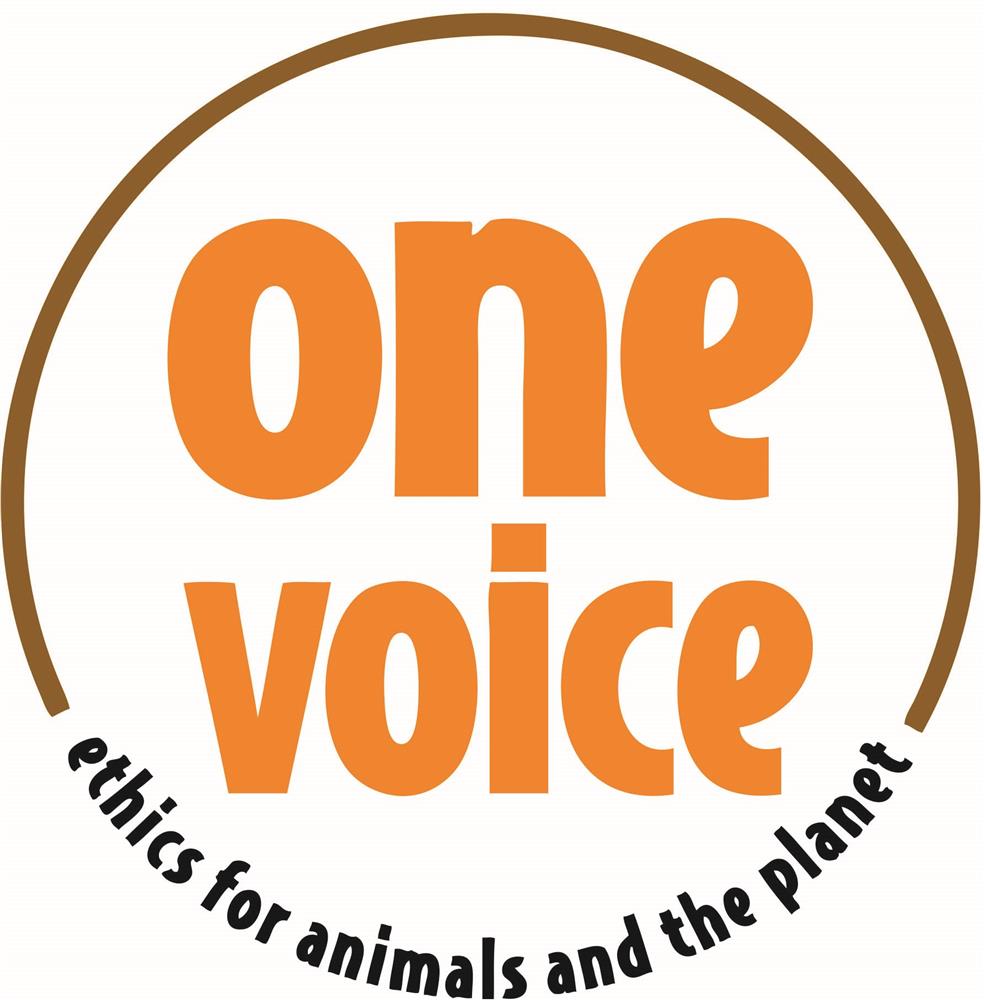 One voice bio